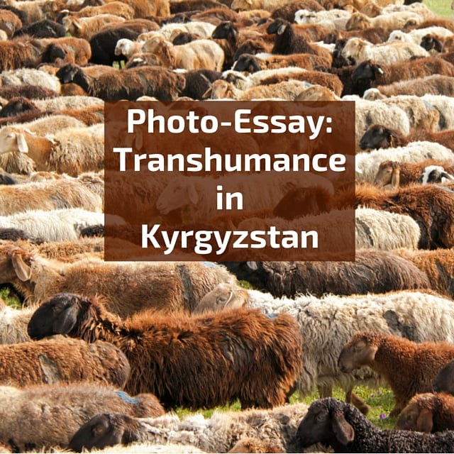 Photo essay summer transhumance in Kyrgyzstan