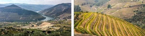 North Portugal itinerary 7 days - Day 6 DOURO